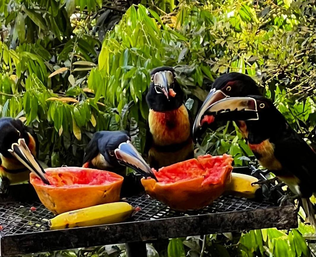 El Valle De Anton La Chachalaca Zewnętrze zdjęcie